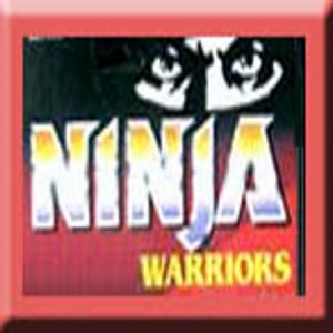 Ninja Warriors Enemies of evil